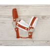 Halter A3 con Furry y Tether My Sweet Baby para Hobby Horse - imagen 3