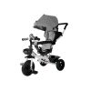 Triciclo PRO300 Gris
