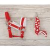 Set para Caballo de Hobby My Sweet Baby: Cabezal A3 con Fieltro - imagen 2