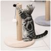 Rascador para Gatos Torre 40 cm x 30 cm Color Marrón Claro