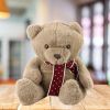 Osito de Peluche Grande con Bufanda a Lunares 45cm