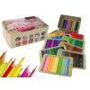 Set de Artista Pequeño con 300 Lápices de Color en Organizador