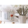 jabon linea mammababy