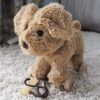 Perrito Dexter con Ruedas y Cuerda - imagen 4