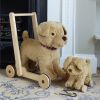 Perrito Dexter con Ruedas y Cuerda - imagen 16