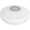 Luz LED flotante fantasía para piscinas Bestway - imagen 7