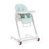 Trona Maple Mint