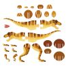 Puzle 3D con volumen del Tyrannosaurus Rex, el dinosaurio más feroz - imagen 25