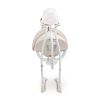 Columpio Eléctrico para Bebé Raffi con Rotación 90°, 5 Velocidades, Mosquitera y Música - imagen 34