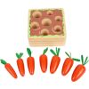 Juego de insertar Zanahorias