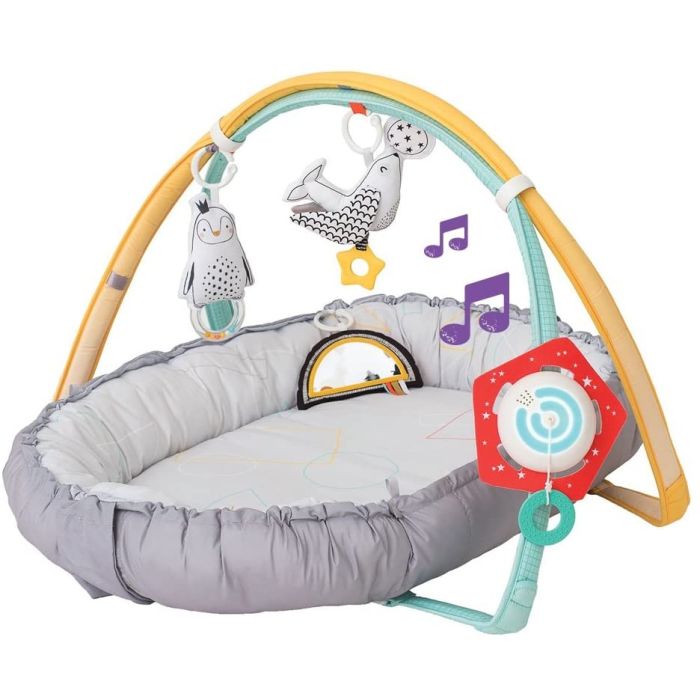 Gimnasio Musical Polo Norte , Taf Toys