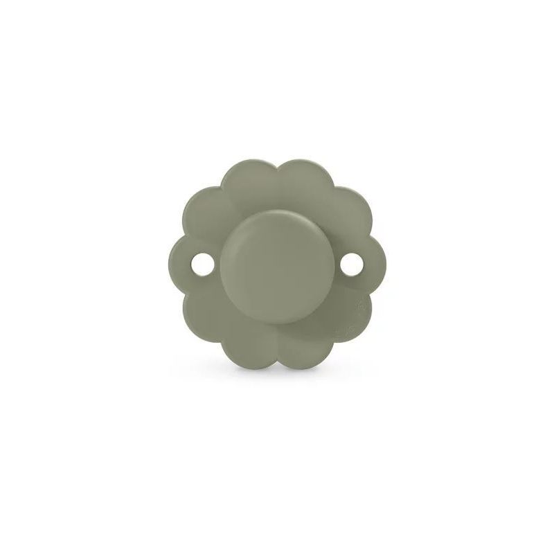 Chupete Suavinex SX Pro 0-6 Hedge Green Wonder