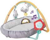 Gimnasio Musical Polo Norte , Taf Toys