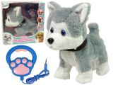 Perro de peluche interactivo con correa y canciones