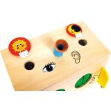 Caja de los sentidos - imagen 13