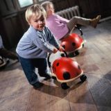 Correpasillos Mariquita Wheelybug