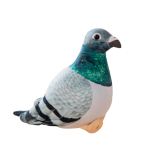 Peluche Paloma Cretada Gris 20 cm - Colección Nueva Fauna - imagen 3