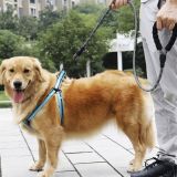 Correa Reflectante de 5m para Perros Grandes con Línea Gruesa y Contenedor de Bolsas de Residuos Incluido - imagen 4
