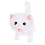 Gato Blanco Interactivo - imagen 7