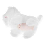 Gato Blanco Interactivo - imagen 13