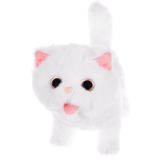 Gato Blanco Interactivo - imagen 16