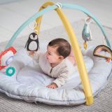 Gimnasio Musical Polo Norte , Taf Toys