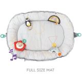 Gimnasio Musical Polo Norte , Taf Toys