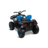 Quad Rush Toyz en uso en el jardín para niños