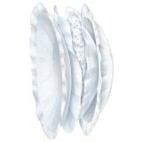 Discos de Lactancia Chicco - Protección y Comodidad