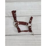Halter A3 y Tether para Hobby Horse My Sweet Baby - imagen 2