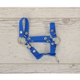 Halter para Hobby Horse My Sweet Baby - A4 y A5 - Azul - imagen 2