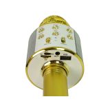Micrófono Inalámbrico USB Altavoz Karaoke WS-858 Dorado