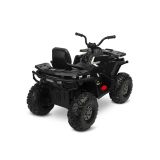 Quad Toyz Terra Black en acción