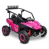 Coche Toyz Reptile en uso en el jardín
