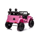 Batería Auto Toyota FJ Rosa
