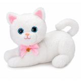 Gatito lechón con pelaje suave y ojos brillantes.