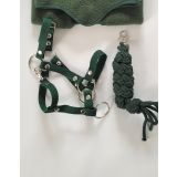 Halter A3 y Tether para Caballo de Juguete My Sweet Baby - imagen 3