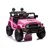 Batería Auto Toyota FJ Rosa