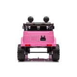 Batería Auto Toyota FJ Rosa
