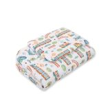 Juego de Cuna 2 pcs My Sweet Baby - Tren Turquesa para Bebés