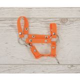 Halter My Sweet Baby para Hobby Horse A4 y A5 - Naranja - imagen 2