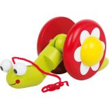 Caracol de arrastre