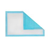 Set de 50 almohadillas higiénicas Extra absorbentes