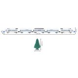 Tren eléctrico con via de 9 metros de longitud