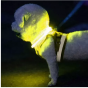 Collar LED Luminoso Ajustable para Perros con Batería Recargable