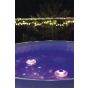 Luz LED flotante fantasía para piscinas Bestway